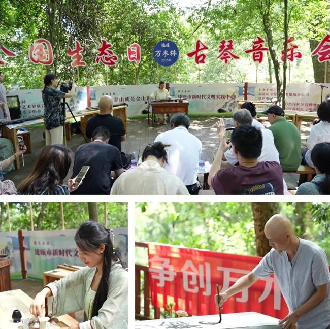 万木林古琴雅集演绎“千年建州”的绿色答卷
