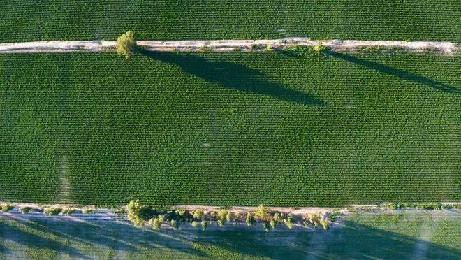 高考地理中的防风固沙